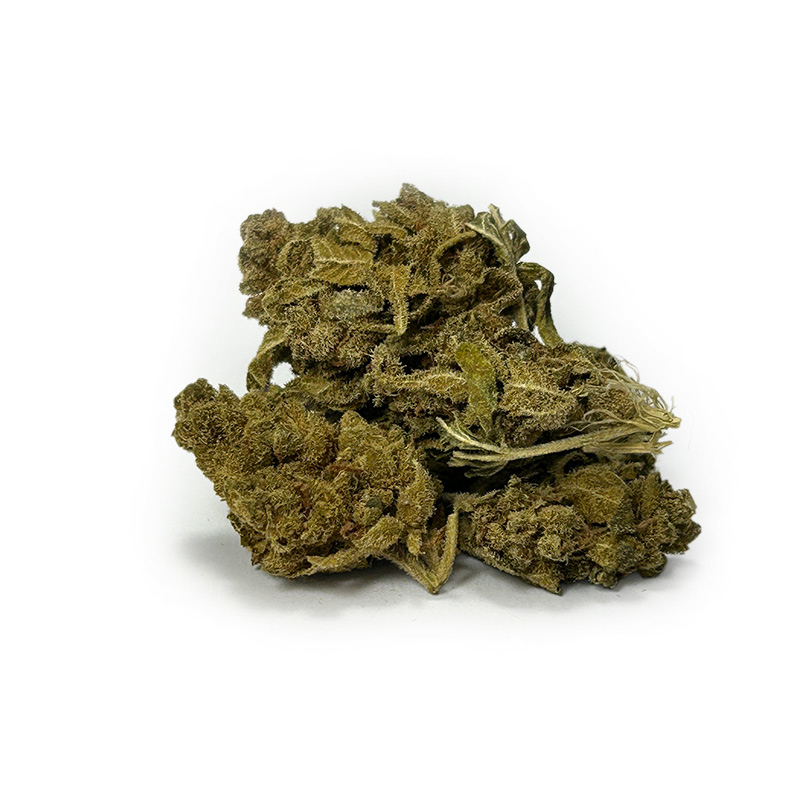 Qu'est-ce qui rend nos fleurs CBD Aged Buds si spéciales ?