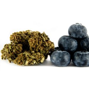 Blue-Berry-Fleur-CBD