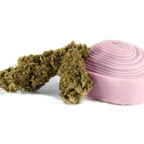 Bubble-Gum-Fleur-PREMIUM-CBD