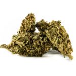 Critical-Haze-Fleur-CBD