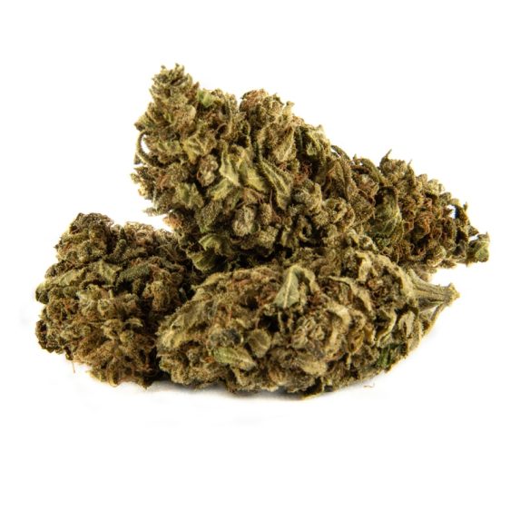 OG-Kush-Fleur-CBD