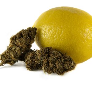 Super-Lemon-Haze-Fleur-PREMIUM-CBD