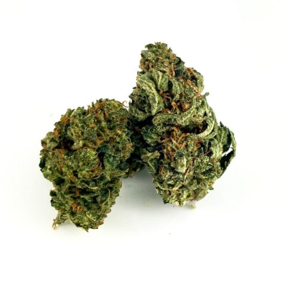 White-Widow-Fleur-15-HIGH-CBG