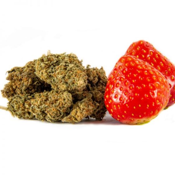 Strawberry - Fleur de CBD 1