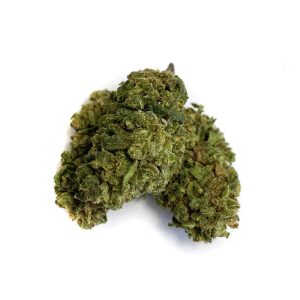 CBN Fleur Sour Diesel fleurs-de-cbn-sour-diesel 1