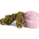 Bubble Gum PREMIUM - Fleur de CBD 1