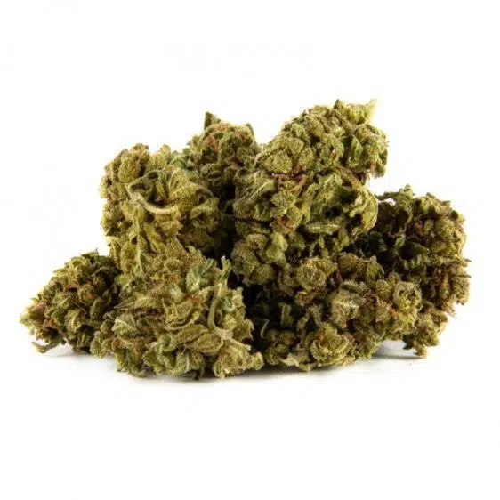 B006-000V-0.jpg Girl Scout Cookies CBD Fleurs Girl Scout Cookies fleurs CBD CBD-girl-scout-cookies 1 1