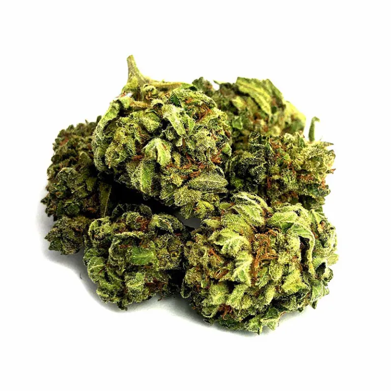 B044-000V-0.jpg 15% HIGH CBD Fleurs Sweet Melon 15% HIGH CBD Fleurs Sweet Melon CBD-high-cbd-melon 1 1