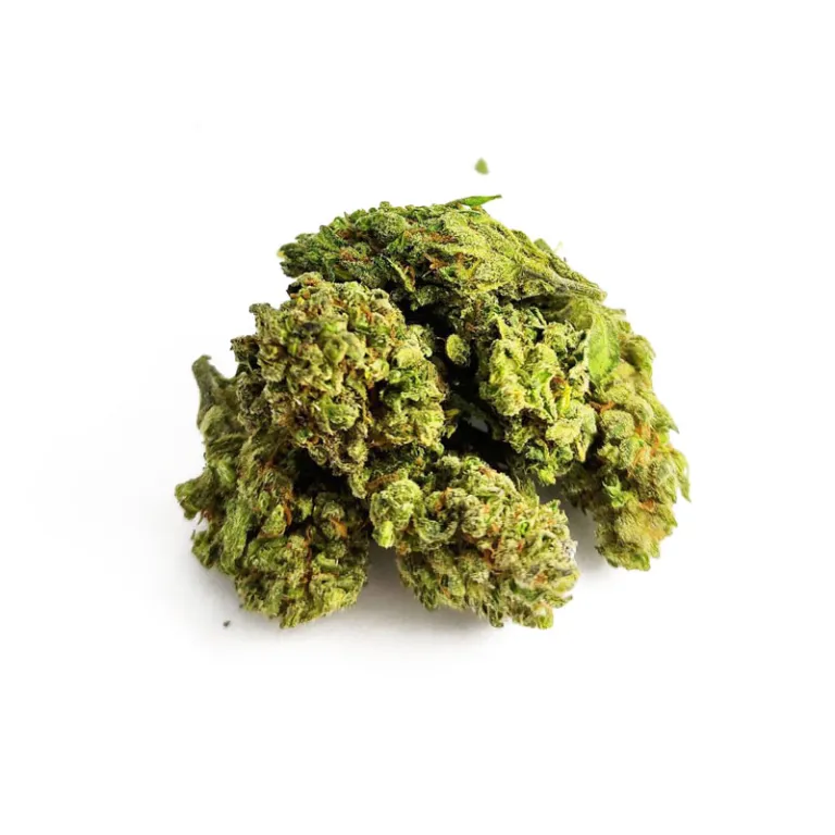 B055-000V-0.jpg 15% HIGH CBD Fleurs Super Lemon Haze 15% HIGH CBD Fleurs Super Lemon Haze high-cbd-super-lemon-haze 1 1