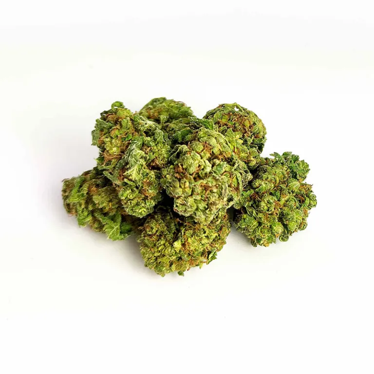 B056-000V-0.jpg 15% HIGH CBD Fleurs Amnesia Haze 15% HIGH CBD Fleurs Amnesia Haze high-cbd-amnesia-haze 1 1