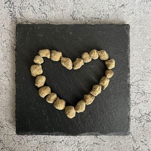 Que sont les Moon Rocks – et qu'est-ce qui les rend si spéciales ?