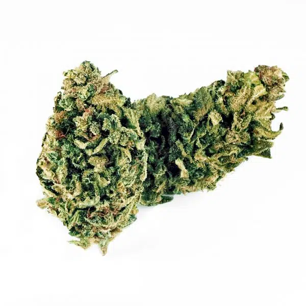 B092-000V-0.jpg Blue Dream PREMIUM CBD Fleurs Blue Dream PREMIUM fleurs CBD CBD-blue-dream-premium 1 1
