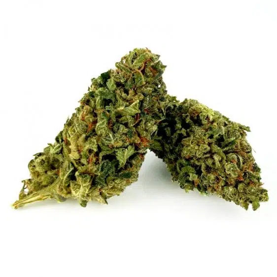 B099-000V-0.jpg Fleurs CBD Premium Blueberry Fleurs CBD Blueberry PREMIUM CBD-Blue-Berry-Premium 1 1