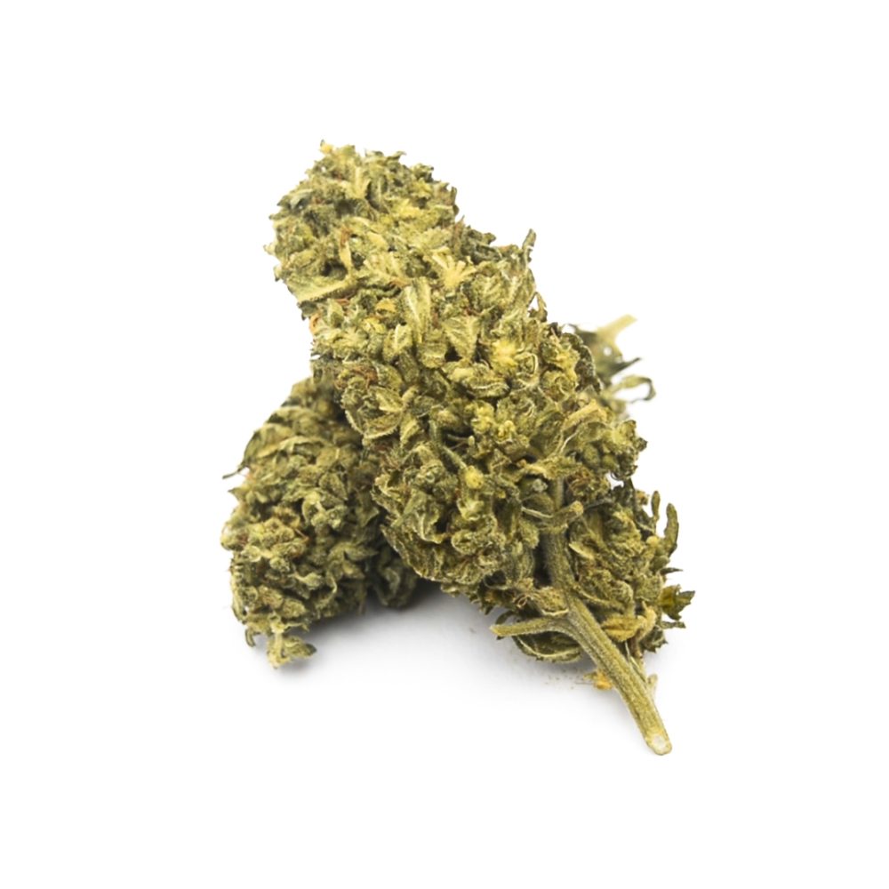 Fleurs CBD Premium Blueberry Fleurs CBD Blueberry PREMIUM CBD-Blue-Berry-Premium 1 2