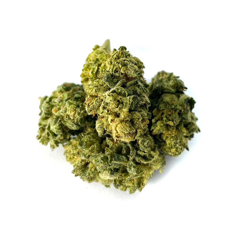 B111-000V-0.jpg CBN Fleurs Mango Haze CBN Fleurs Mango Haze cbn-mango-haze 1 1