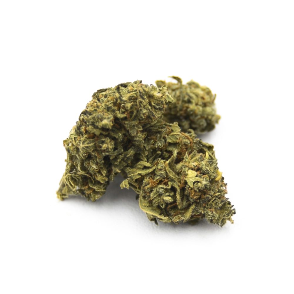 15% HIGH CBD Fleurs Mango 15% HIGH CBD Fleurs Mangue 1 2